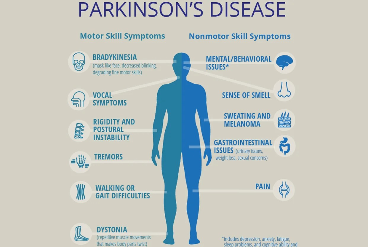 Brain and Spine Care