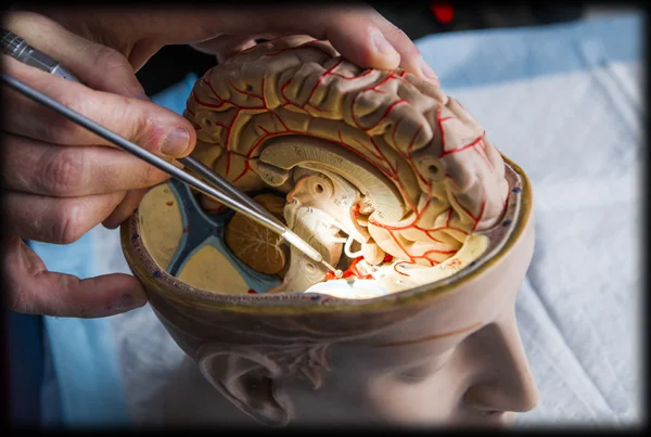 Microneurosurgery